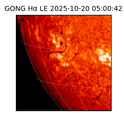 gong - 2025-10-20T05:00:42