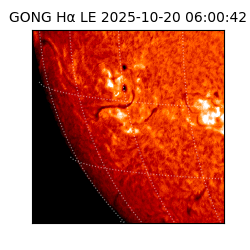 gong - 2025-10-20T06:00:42