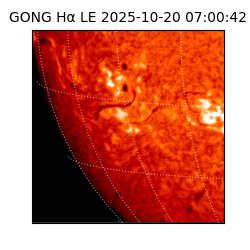 gong - 2025-10-20T07:00:42