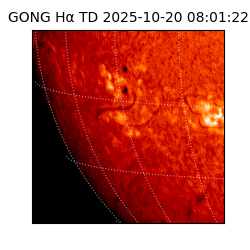 gong - 2025-10-20T08:01:22