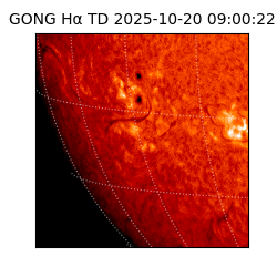 gong - 2025-10-20T09:00:22