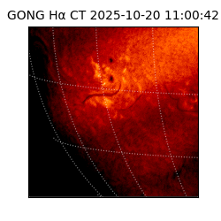 gong - 2025-10-20T11:00:42