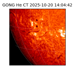 gong - 2025-10-20T14:04:42
