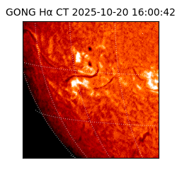 gong - 2025-10-20T16:00:42