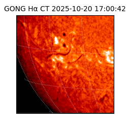 gong - 2025-10-20T17:00:42