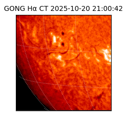gong - 2025-10-20T21:00:42