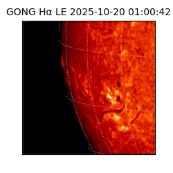 gong - 2025-10-20T01:00:42