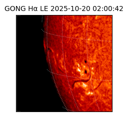 gong - 2025-10-20T02:00:42