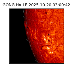 gong - 2025-10-20T03:00:42
