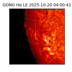 gong - 2025-10-20T04:00:42