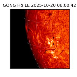 gong - 2025-10-20T06:00:42