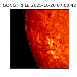 gong - 2025-10-20T07:00:42