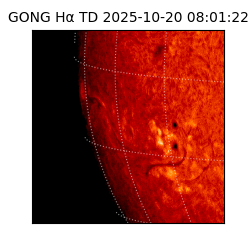 gong - 2025-10-20T08:01:22