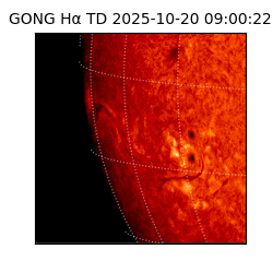 gong - 2025-10-20T09:00:22