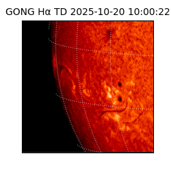 gong - 2025-10-20T10:00:22