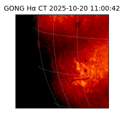 gong - 2025-10-20T11:00:42