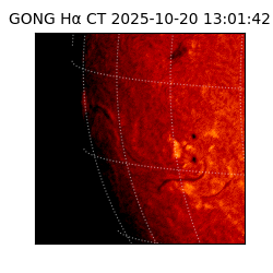 gong - 2025-10-20T13:01:42