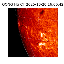 gong - 2025-10-20T16:00:42
