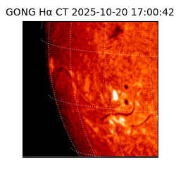 gong - 2025-10-20T17:00:42