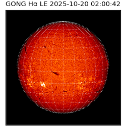 gong - 2025-10-20T02:00:42