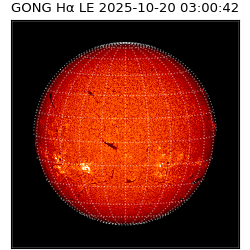 gong - 2025-10-20T03:00:42