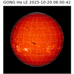 gong - 2025-10-20T06:00:42