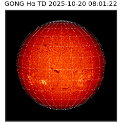 gong - 2025-10-20T08:01:22