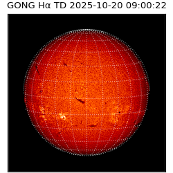 gong - 2025-10-20T09:00:22