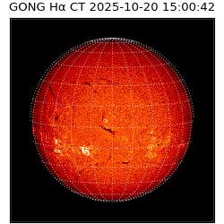 gong - 2025-10-20T15:00:42
