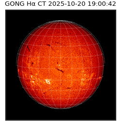 gong - 2025-10-20T19:00:42