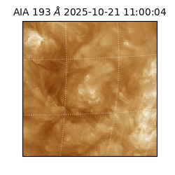 saia - 2025-10-21T11:00:04.846000