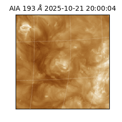 saia - 2025-10-21T20:00:04.846000