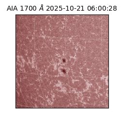 saia - 2025-10-21T06:00:28.718000