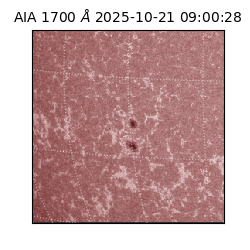 saia - 2025-10-21T09:00:28.718000