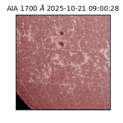 saia - 2025-10-21T09:00:28.718000