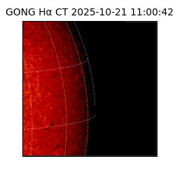gong - 2025-10-21T11:00:42
