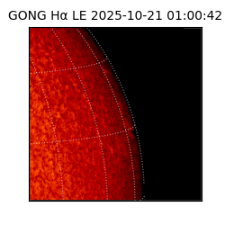 gong - 2025-10-21T01:00:42