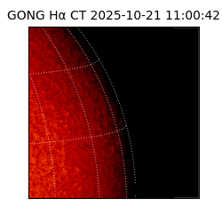 gong - 2025-10-21T11:00:42