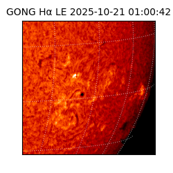 gong - 2025-10-21T01:00:42