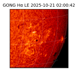 gong - 2025-10-21T02:00:42