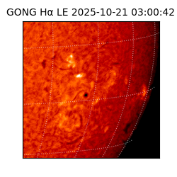 gong - 2025-10-21T03:00:42