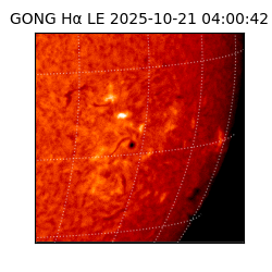 gong - 2025-10-21T04:00:42