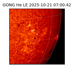 gong - 2025-10-21T07:00:42