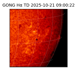 gong - 2025-10-21T09:00:22