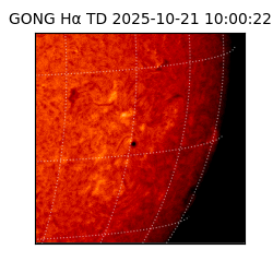 gong - 2025-10-21T10:00:22