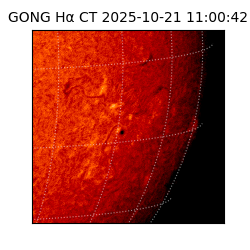 gong - 2025-10-21T11:00:42