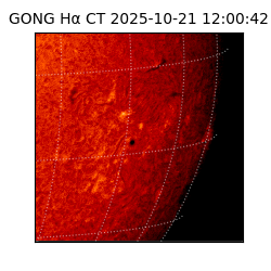 gong - 2025-10-21T12:00:42
