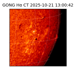 gong - 2025-10-21T13:00:42