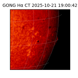 gong - 2025-10-21T19:00:42
