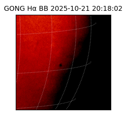 gong - 2025-10-21T20:18:02